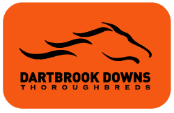 Dartbrook Downs Thoroughbreds
