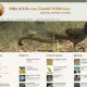 Atlas of Life in the Coastal Wilderness Website